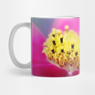 Hot Pink Cosmos Mug